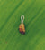 TIGER'S EYE PENDANT